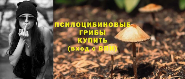 a pvp Абинск