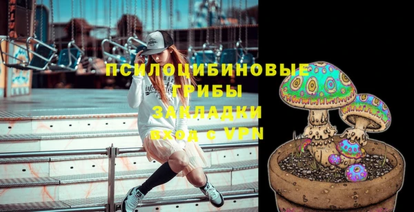 круглые Абаза